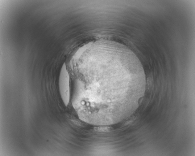 X0000063490671200602172053