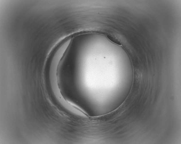 X0000063490676200602172052