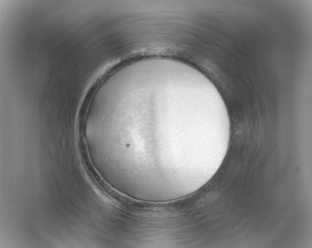 X0000063490678200602172052