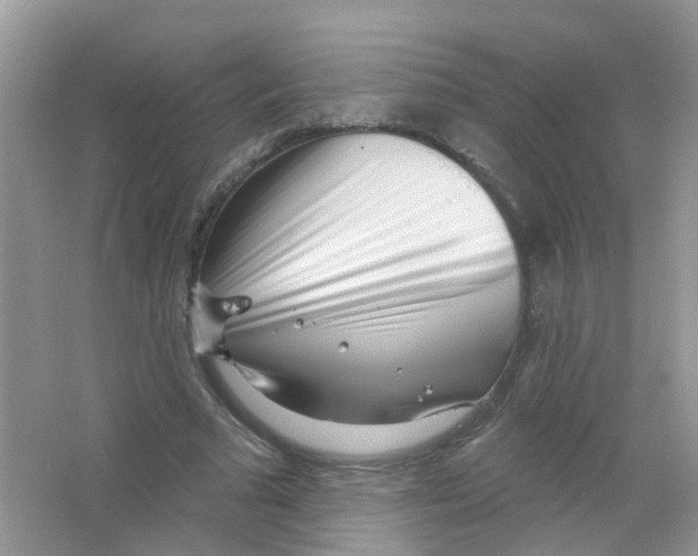 X0000063490681200602172052