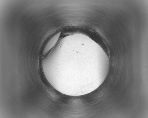 X0000063490685200602172052