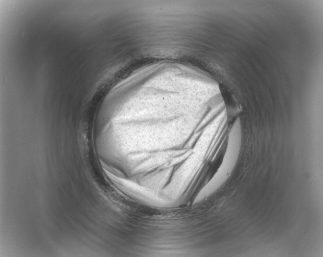 X0000063490688200602172052