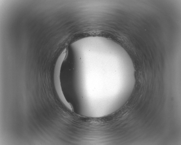 X0000063490697200602172051