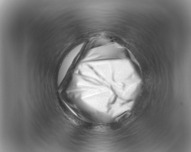 X0000063490708200602172051