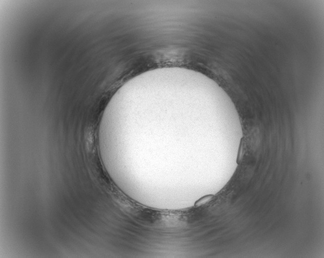 X0000063490709200602172051