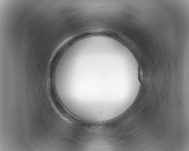 X0000063490728200602172050