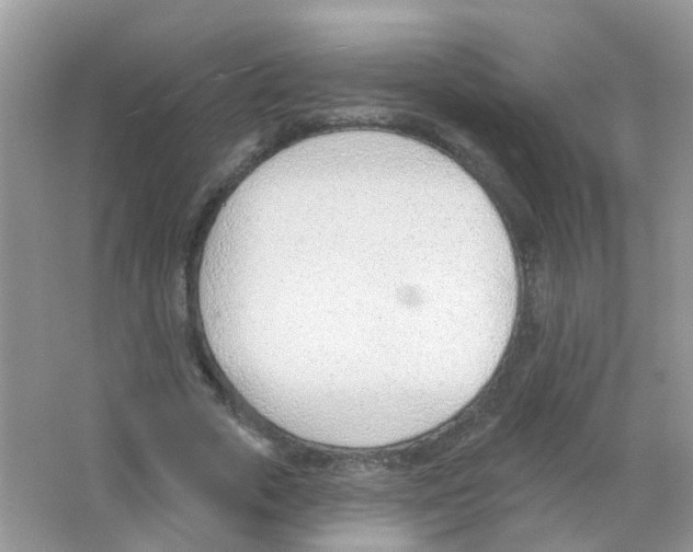 X0000063490729200602172050