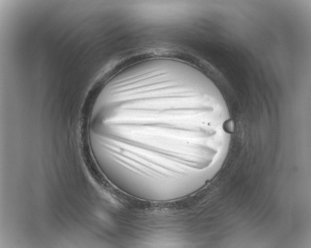 X0000063490730200602172050