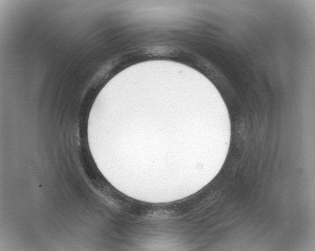 X0000063490734200602172050