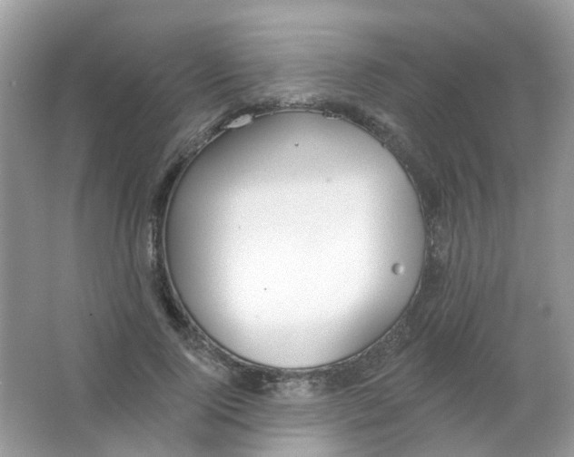 X0000063490740200602172050