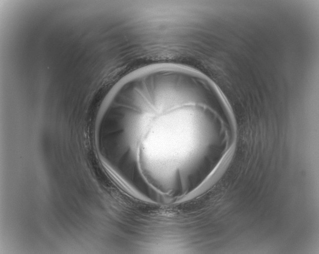 X0000063490743200602172051