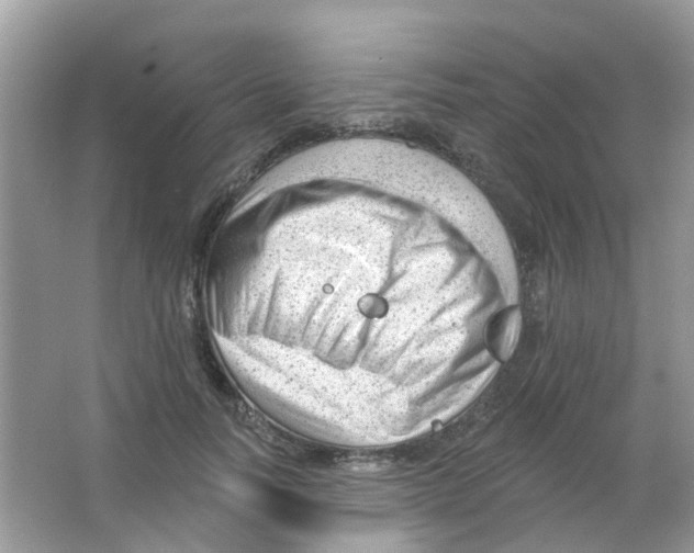 X0000063490746200602172051