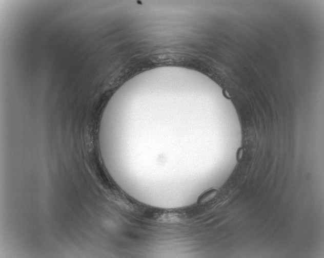 X0000063490751200602172051