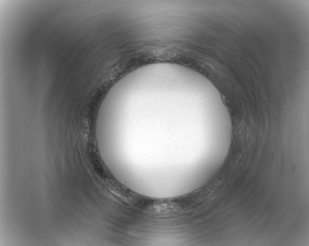 X0000063490752200602172051