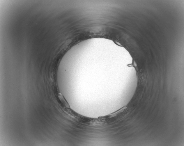 X0000063490756200602172051