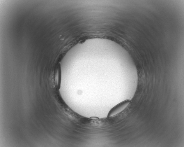 X0000063490764200602172051