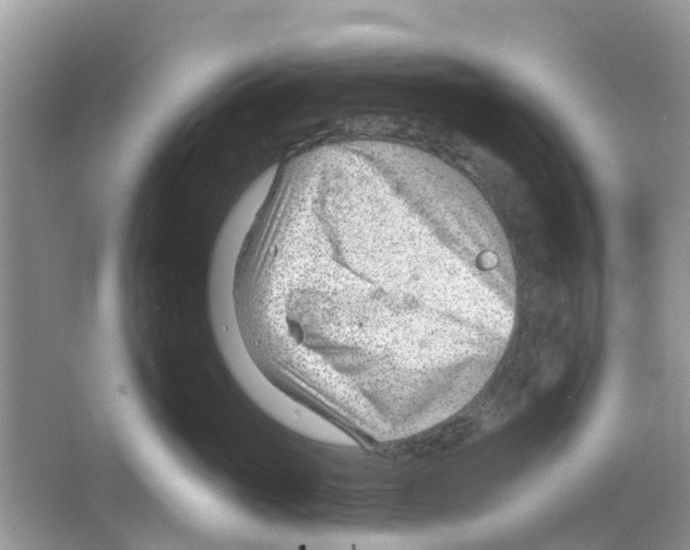 X0000063490765200602172051