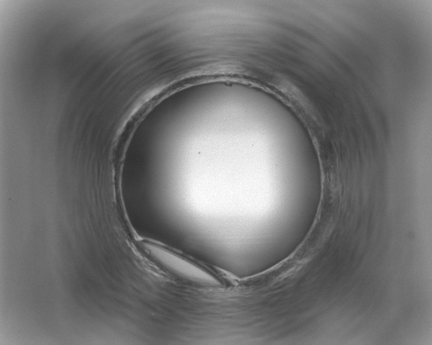 X0000063490781200602172050