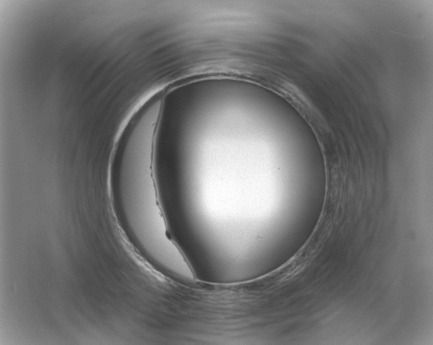 X0000063490788200602172050