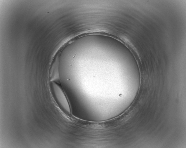 X0000063490789200602172050