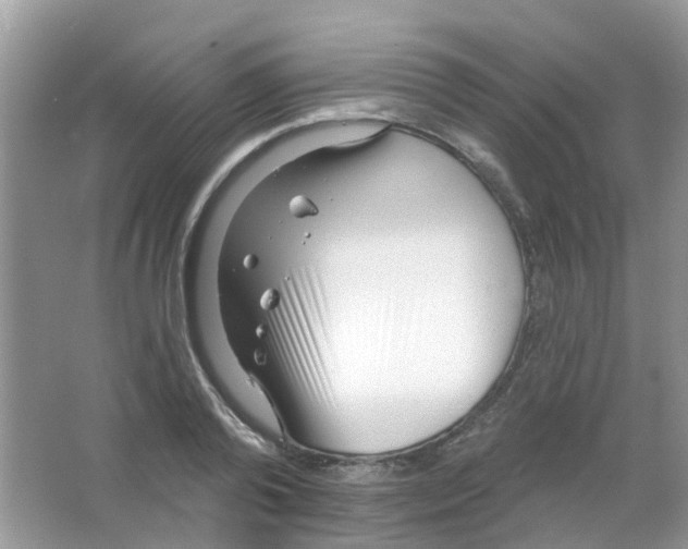 X0000063490792200602172050