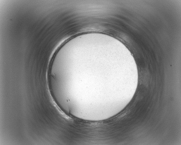 X0000063490796200602172050