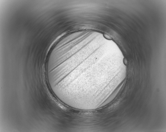 X0000063490798200602172050