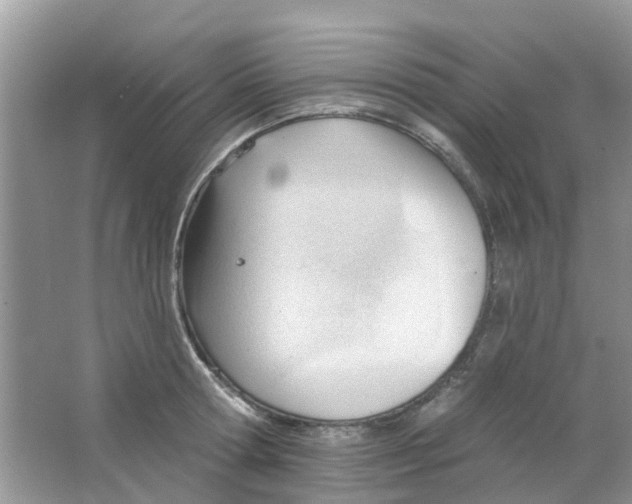 X0000063490802200602172050