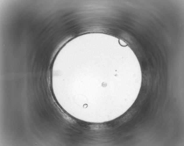 X0000063490804200602172049