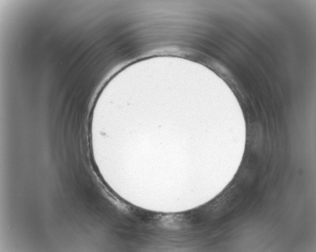 X0000063490808200602172049