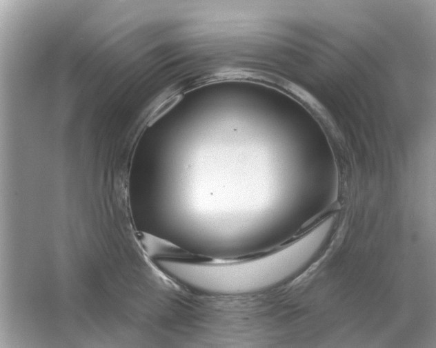 X0000063490809200602172049