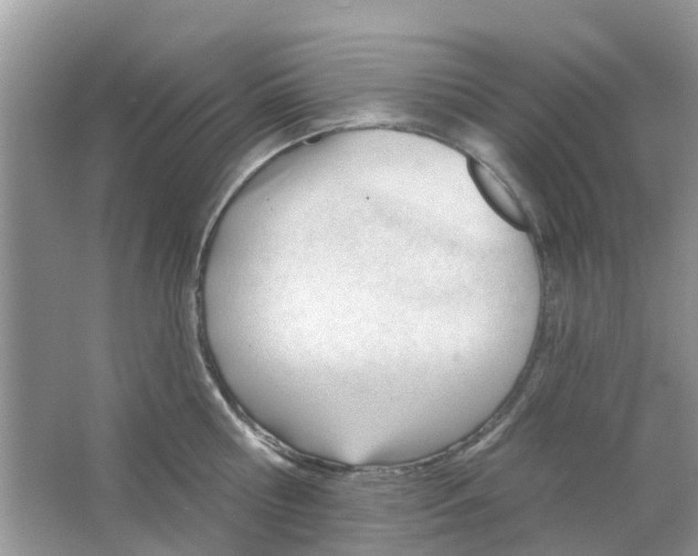 X0000063490810200602172049