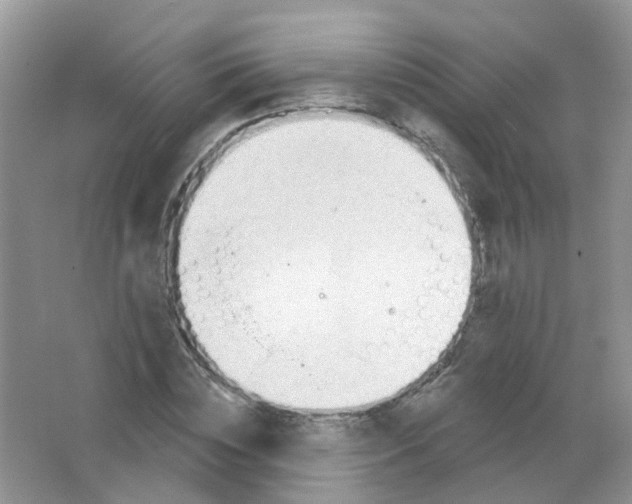 X0000063490828200602172049