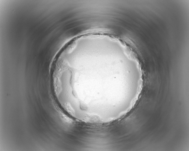 X0000063490836200602172049