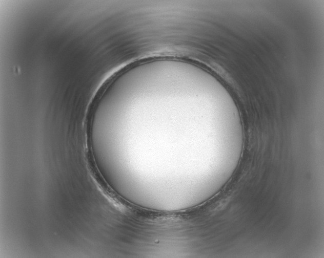 X0000063490838200602172049