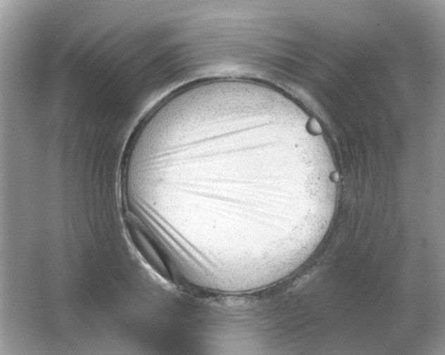 X0000063490839200602172049