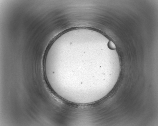 X0000063490840200602172049