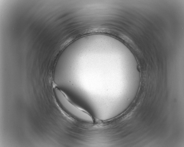 X0000063490841200602172049