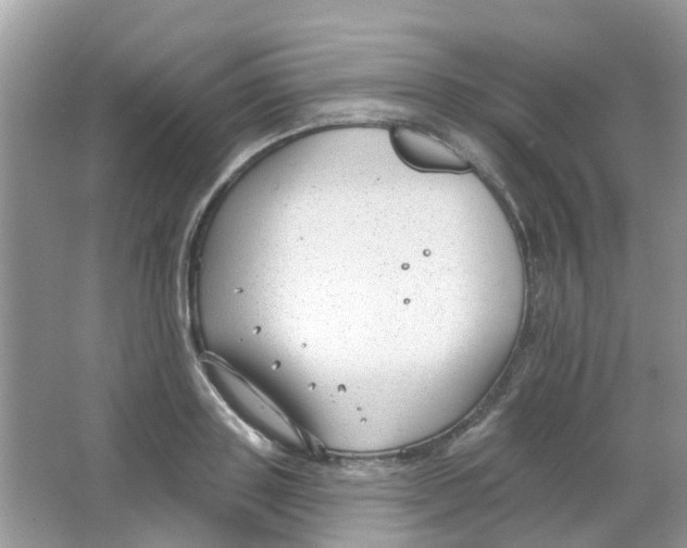 X0000063490843200602172049