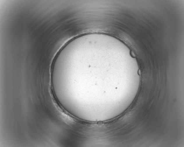 X0000063490844200602172049