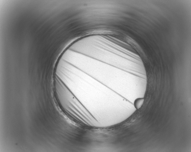 X0000063490852200602172049