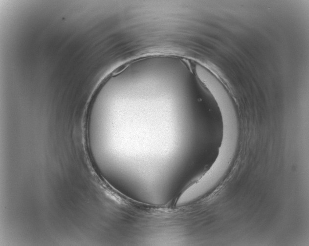 X0000063490854200602172049