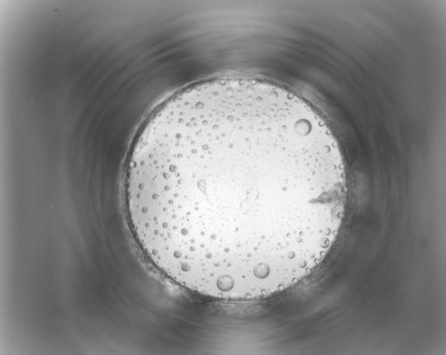 X0000063490856200602172049