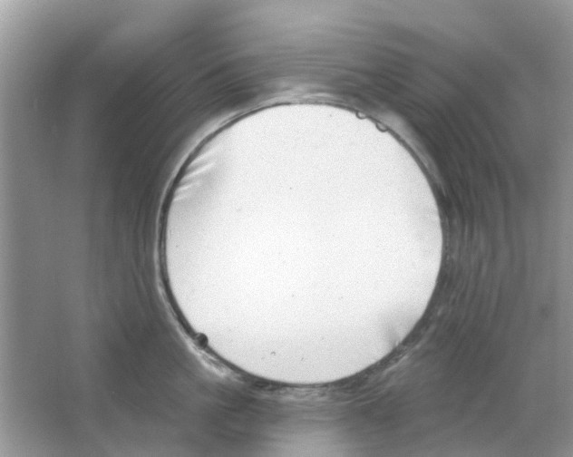 X0000063490861200602172049