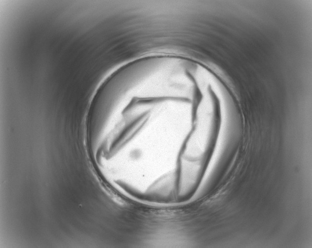 X0000063490862200602172049