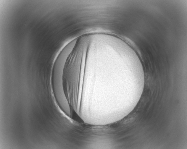 X0000063490863200602172049