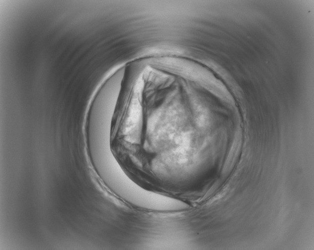 X0000063490864200602172049