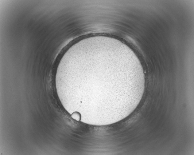 X0000063490875200602172048