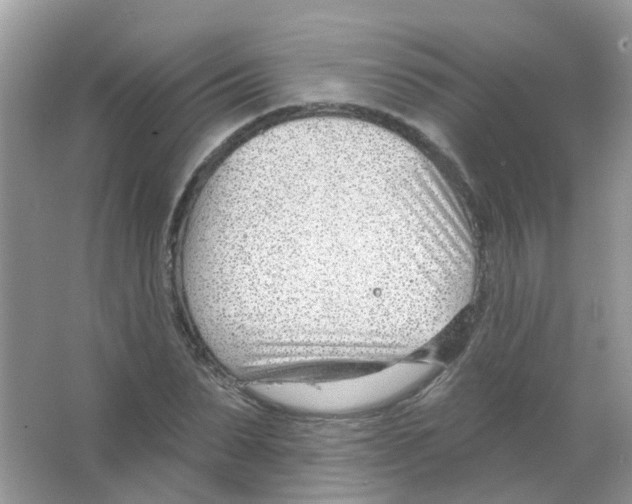 X0000063490879200602172048