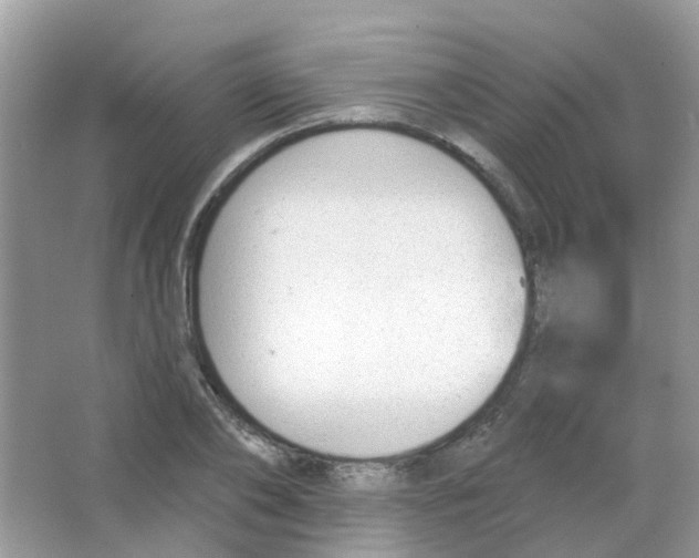 X0000063490886200602172048